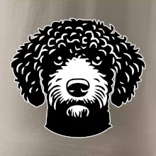 Lagotto romagnolo hlava na prsníku