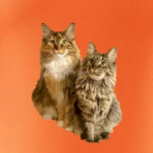 Mačky vectorizované (Moňas)