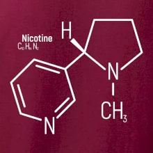 Molekulárna štruktúra Nikotín