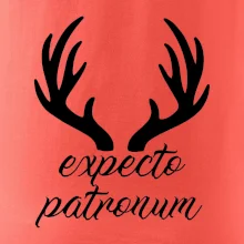 Harry - Expecto patronum