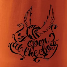 Harry - Zlatá strela Harry - Zlatá strela