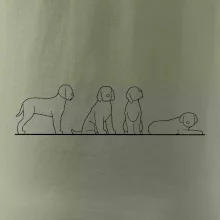 Lagotto romagnolo postavy linka