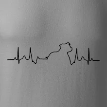 Stafordšírsky bulteriér ‎ EKG