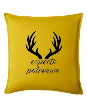 Harry - Expecto patronum Harry - Expecto patronum