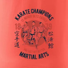 Karate Champions