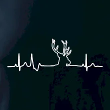 Jeleň EKG Jeleň EKG