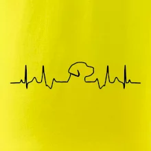 Labradorský retriever‎ EKG