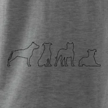 Americký stafordšírsky teriér v rôznych pozíciách