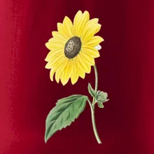 Slnečnica otočená