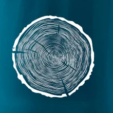 Letokruhy 60 bez veku