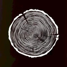 Letokruhy 90 bez veku