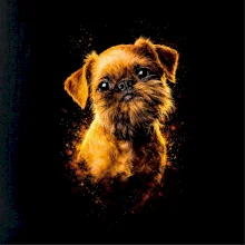 Obrázok poltón Bruselský grifon