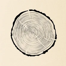 Letokruhy 40 bez veku