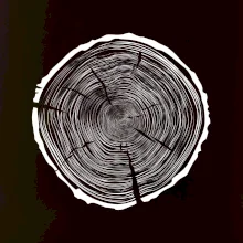 Letokruhy 95 bez veku