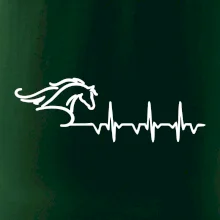 Hlava koňa EKG Hlava koňa EKG