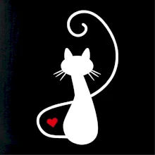 Zamilovaná mačka spredu