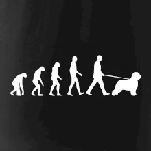 Evolúcia pes Briard