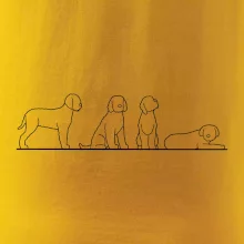 Lagotto romagnolo postavy linka