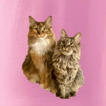 Mačky vectorizované (Moňas)