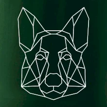 Nemecký ovčiak - Geometria Nemecký ovčiak - Geometria