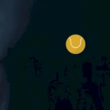 Paddle logo na ležato