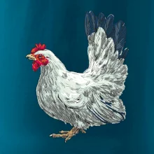 Sliepka kreslená biela