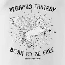 Pegasus fantasy