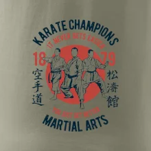 Karate Champions