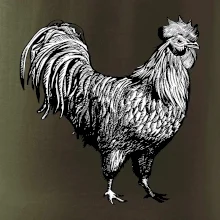 Kohút kreslený čiernobiely