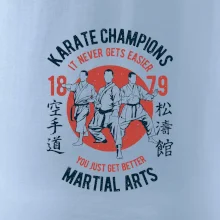 Karate Champions