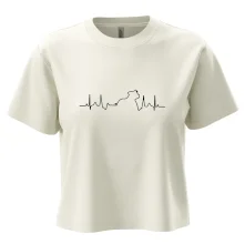 Stafordšírsky bulteriér ‎ EKG