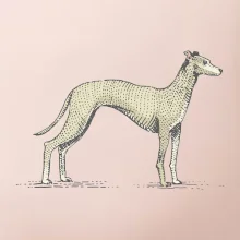 Vintage Whippet