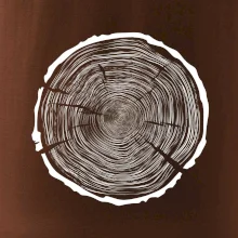 Letokruhy 100 bez veku