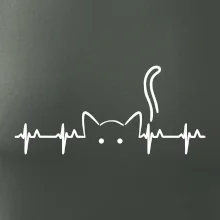 Mačka EKG