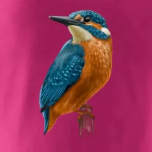 Ľadnáčik kreslený