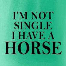 I have a horse
