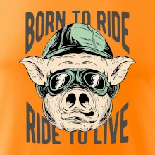 Born to Ride prasák