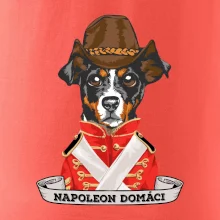 Napoleon domáci kríženec