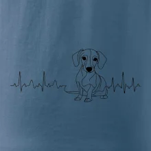 EKG krivka jazvečík