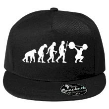 Evolution fitness Evolution fitness