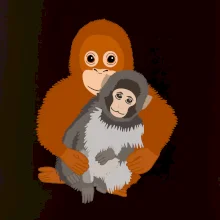 Opica Punch makak (Moňas)