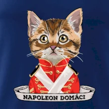 Napoleon domáci mačka Napoleon domáci mačka