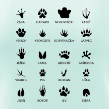 Zvieracie stopy - názvy