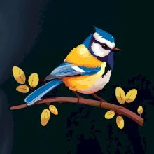 Sýkorka modrinka kreslená