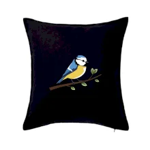 Sýkorka modrinka na vetve