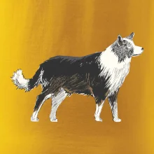 Border kólia kreslená