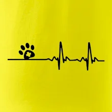 Veterinár EKG Veterinár EKG