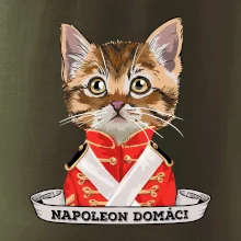 Napoleon domáci mačka Napoleon domáci mačka