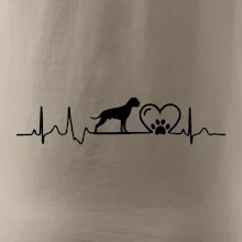 Nemecký boxer EKG Nemecký boxer EKG
