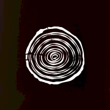 Letokruhy 10 bez veku